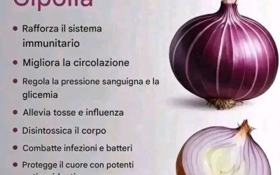 Cipolla rossa: il re delle verdure salutari