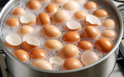 🥚 Mangiare gusci d’uovo sodi e tritati: perché non è una fonte sicura di calcio