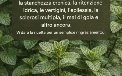 Menta e succo di limone: migliorano la memoria ed eliminano… Vedi altro