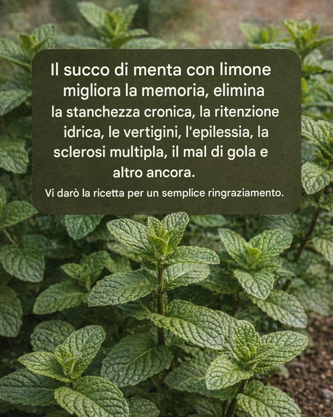 Menta e succo di limone: migliorano la memoria ed eliminano… Vedi altro