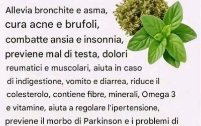 # Lo sapevi che l’origano… Vedi altro